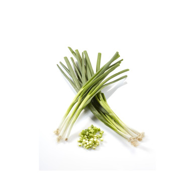 Chong/Springonions 14 bundles **