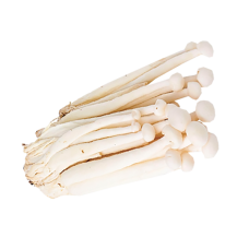 CN Snow White Mushrooms (crab Mush) 40x150g
