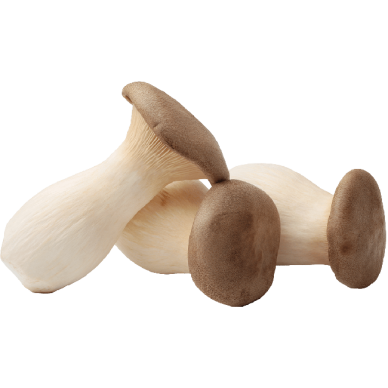 CN King Oyster Mushroom(Vacuum) 25x200g