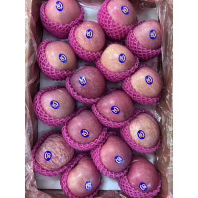 *CN Fresh Apple Fuji 4,5kg Size 16