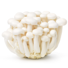 CN Shimeji White 20x150g