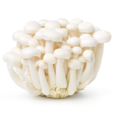 CN Shimeji White 20x150g