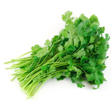 Koriander/Coriander per bunch (25) NL *PER BOX