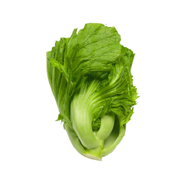Kaichoi 6kg NL